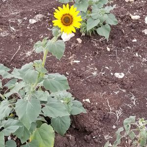 Meet your Posher, Janet